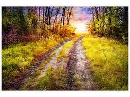 modern-4-piece-canvas-print-the-forest-path