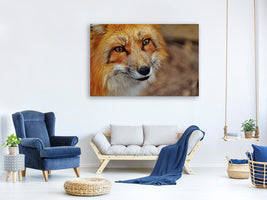 3-piece-canvas-print-the-fox