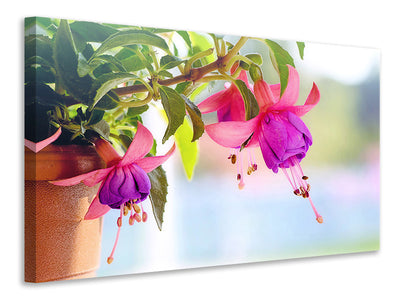 modern-4-piece-canvas-print-the-fuchsias