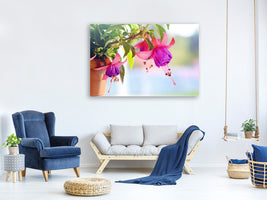 4-piece-canvas-print-the-fuchsias