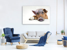 3-piece-canvas-print-the-funny-pig-dog