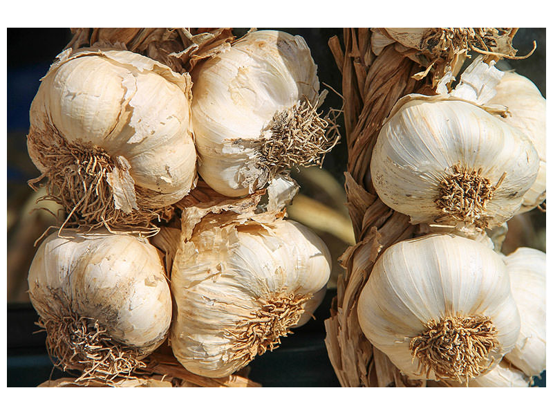 3-piece-canvas-print-the-garlic-xl