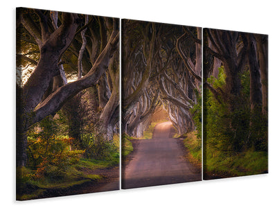 panoramic-canvas-print-the-glowing-hedges