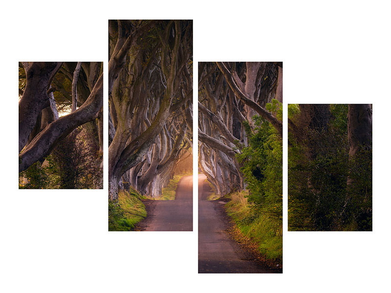 4-piece-canvas-print-the-glowing-hedges