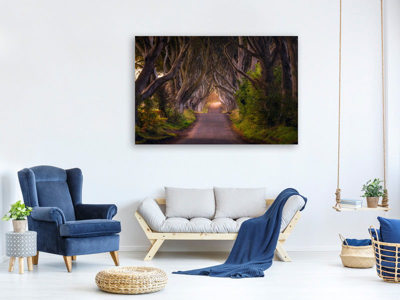 modern-3-piece-canvas-print-the-glowing-hedges
