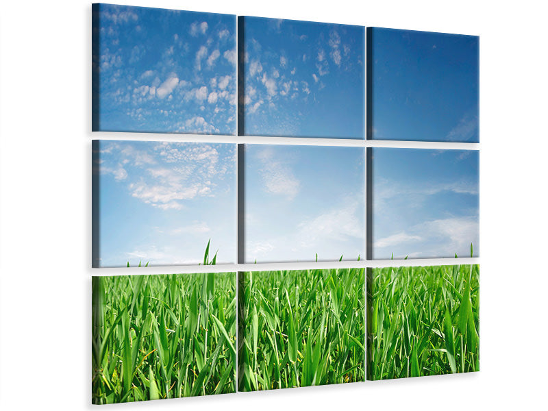 4-piece-canvas-print-the-grass