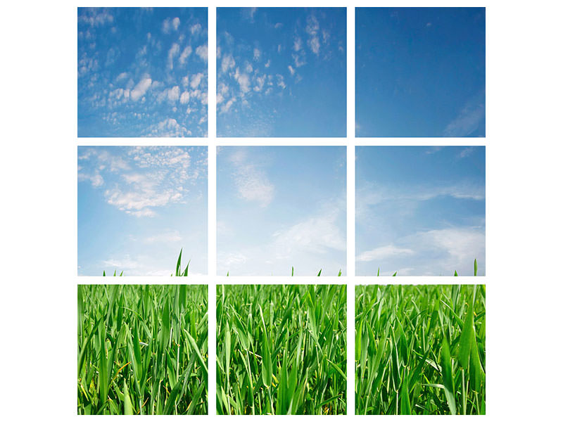 4-piece-canvas-print-the-grass
