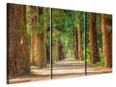 5-piece-canvas-print-the-green-avenue