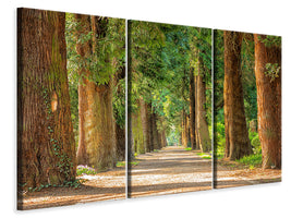 modern-3-piece-canvas-print-the-green-avenue