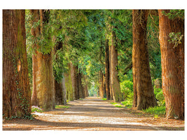 4-piece-canvas-print-the-green-avenue