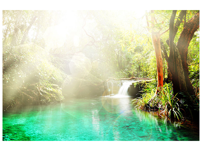 5-piece-canvas-print-the-green-lagoon