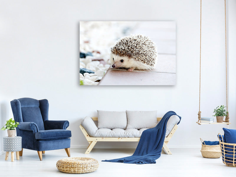 3-piece-canvas-print-the-hedgehog-baby