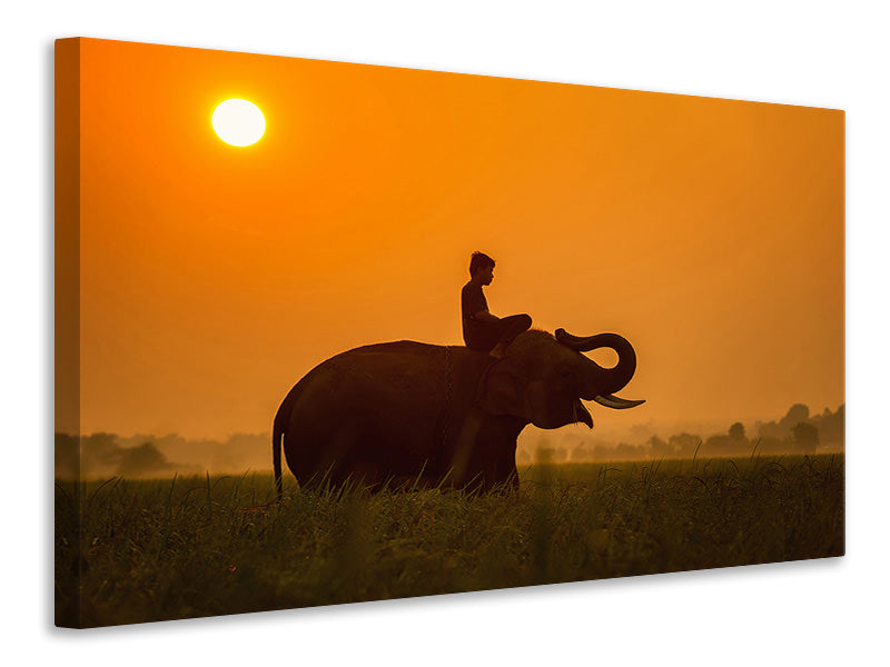 3-piece-canvas-print-the-holy-elephant
