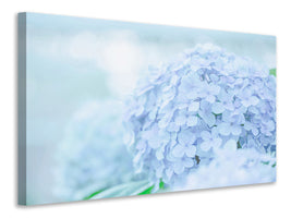 4-piece-canvas-print-the-hydrangea