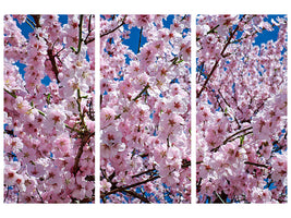 panoramic-3-piece-canvas-print-the-japanese-cherry