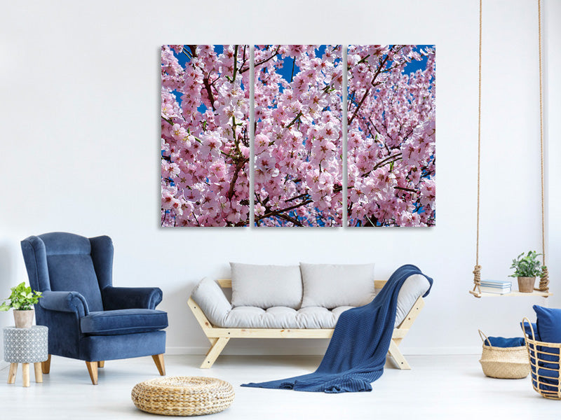 canvas-print-the-japanese-cherry
