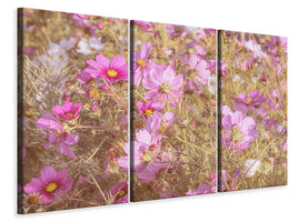 4-piece-canvas-print-the-jewelry-basket-cosmea