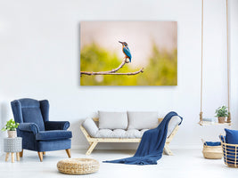 panoramic-3-piece-canvas-print-the-kingfisher