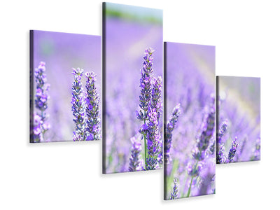 3-piece-canvas-print-the-lavender-blossom