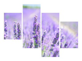 5-piece-canvas-print-the-lavender-blossom