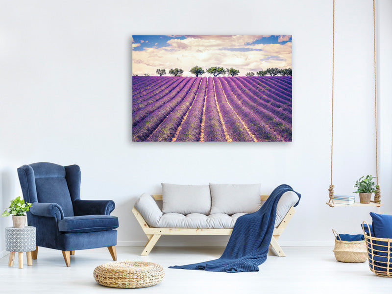 panoramic-3-piece-canvas-print-the-lavender-field-ii