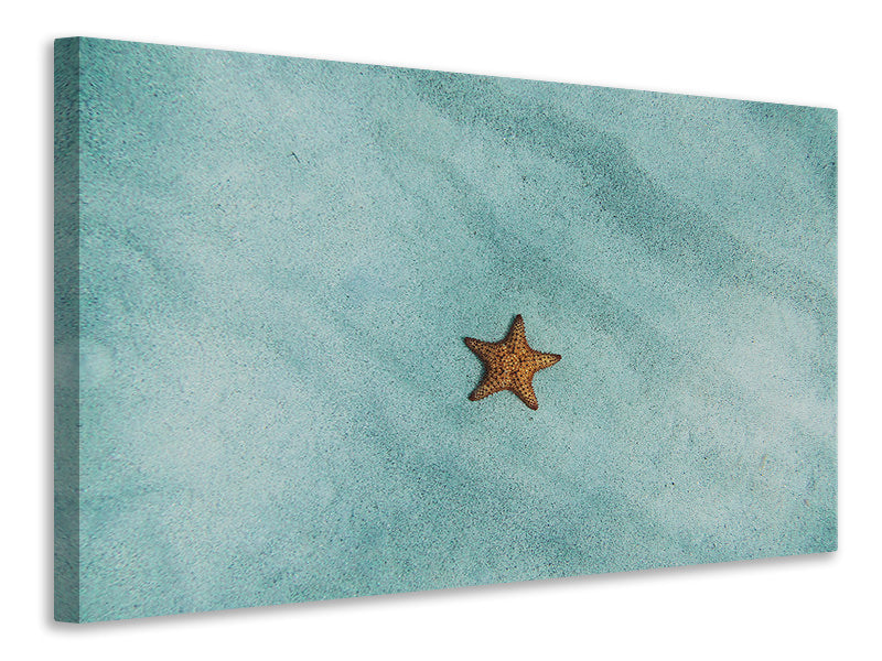 panoramic-3-piece-canvas-print-the-little-starfish