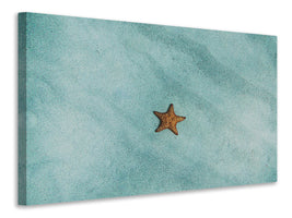 panoramic-canvas-print-the-little-starfish
