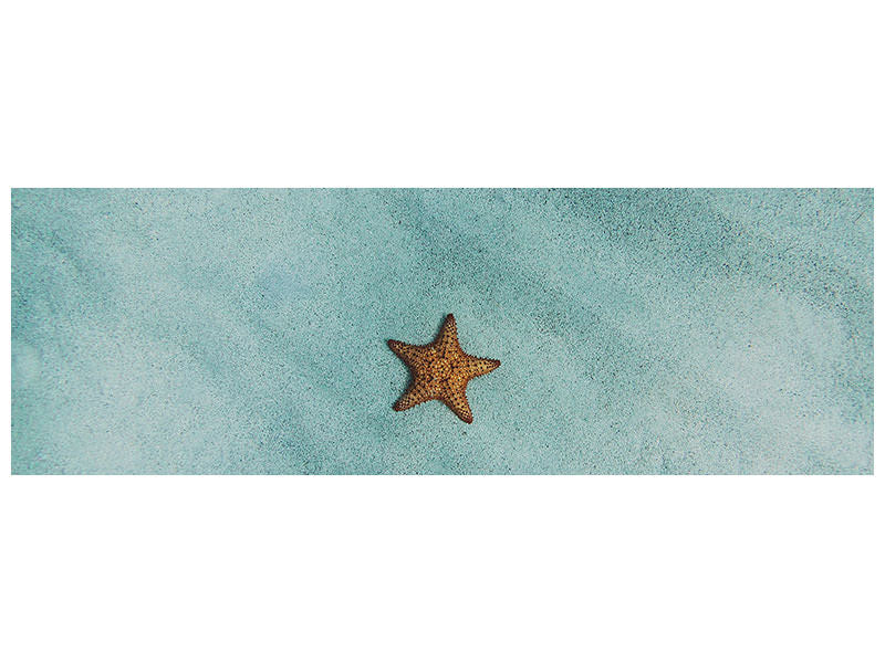 panoramic-3-piece-canvas-print-the-little-starfish