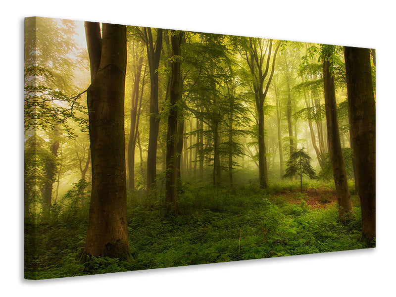 panoramic-3-piece-canvas-print-the-little-tree