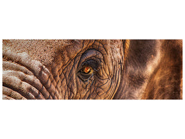panoramic-3-piece-canvas-print-the-look-of-the-elephant