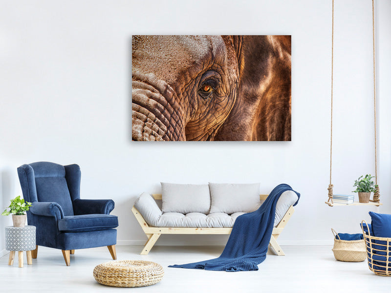 panoramic-canvas-print-the-look-of-the-elephant