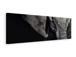 panoramic-3-piece-canvas-print-the-matriarch