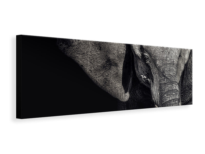 panoramic-3-piece-canvas-print-the-matriarch