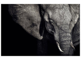 panoramic-3-piece-canvas-print-the-matriarch