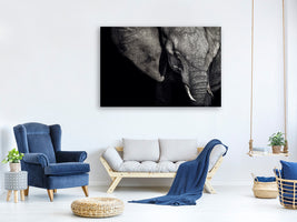 panoramic-3-piece-canvas-print-the-matriarch