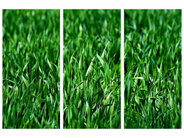 5-piece-canvas-print-the-meadow-in-xl
