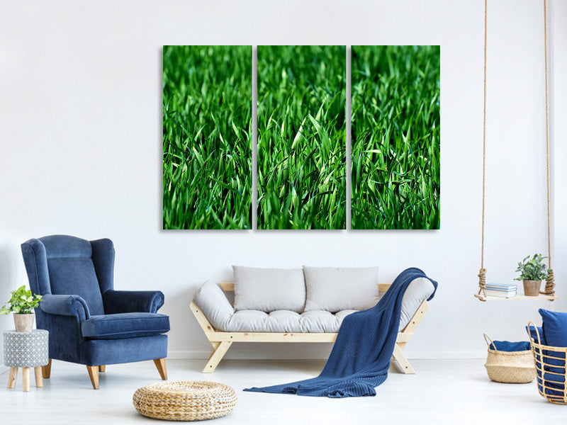 modern-3-piece-canvas-print-the-meadow-in-xl