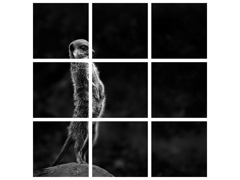 canvas-print-the-meerkat