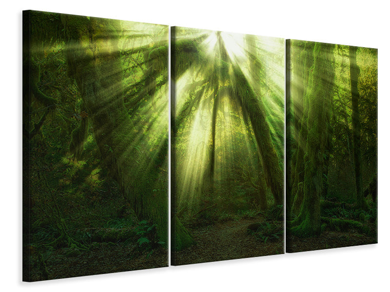 5-piece-canvas-print-the-miracle