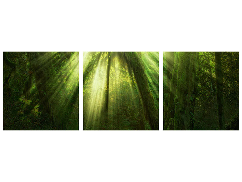 modern-4-piece-canvas-print-the-miracle