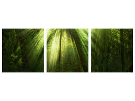 panoramic-canvas-print-the-miracle