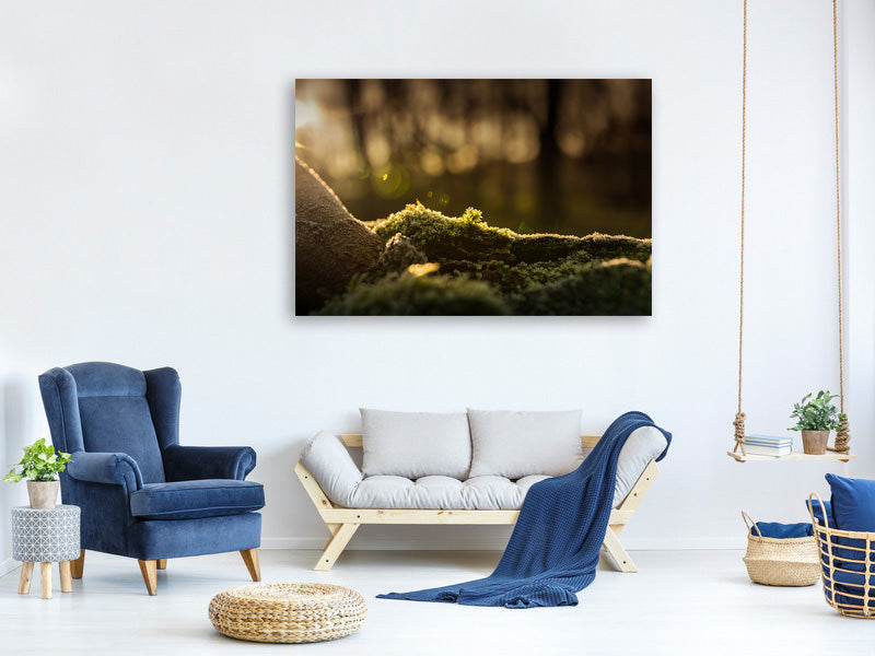 3-piece-canvas-print-the-moss