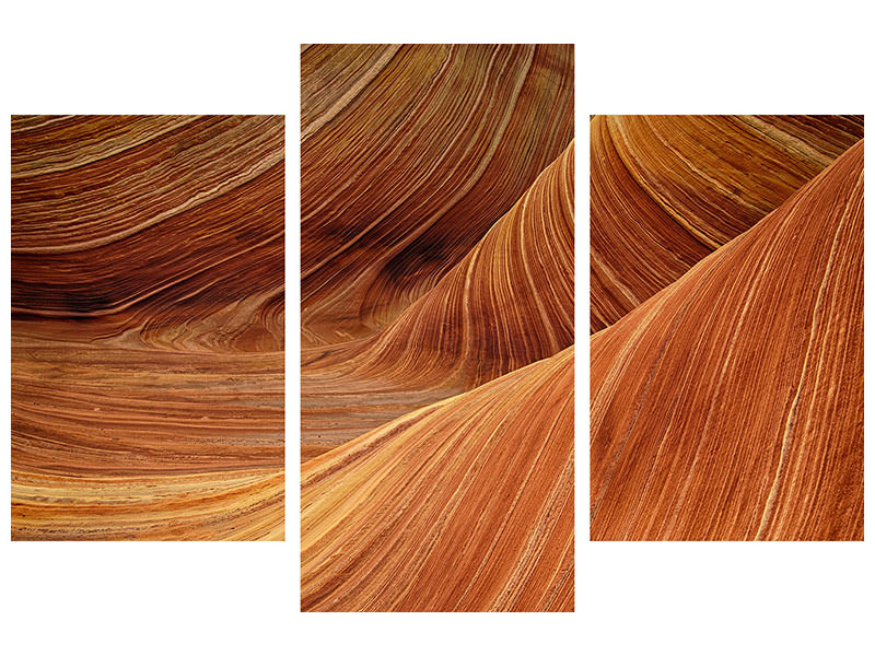 canvas-print-the-movement