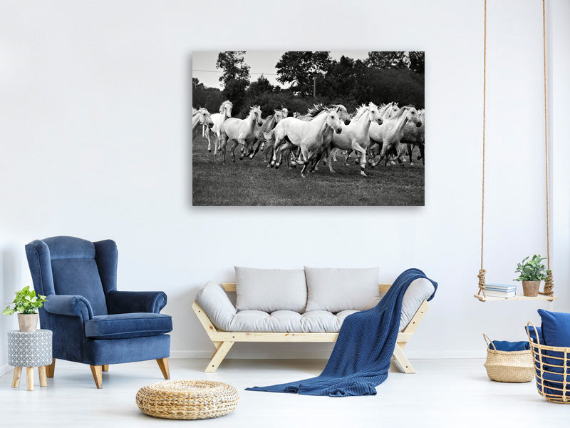 5-piece-canvas-print-the-mustang-herd