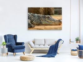 3-piece-canvas-print-the-nile-crocodile