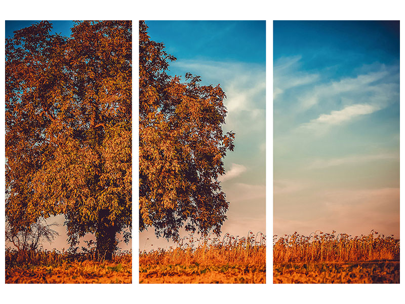 canvas-print-the-nut-tree