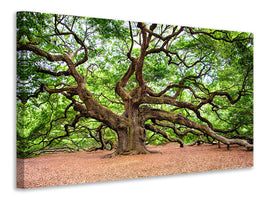 5-piece-canvas-print-the-oak