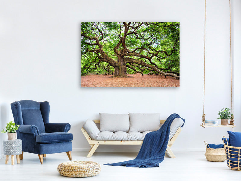 4-piece-canvas-print-the-oak