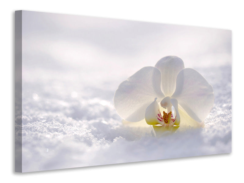 3-piece-canvas-print-the-orchids-bloom