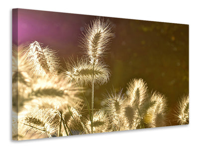 3-piece-canvas-print-the-ornamental-grass